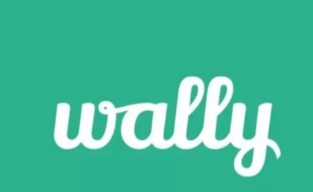 Wally review: for effective money management