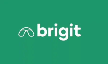 Brigit review: small loans, big fees?