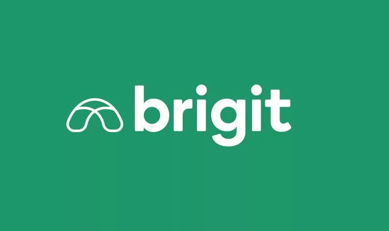 Brigit review: small loans, big fees?